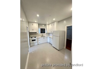 Image ViT 241517