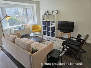 Image ViT 241524