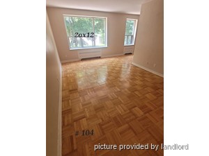 Image ViT 241526
