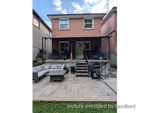 Image ViT 241533