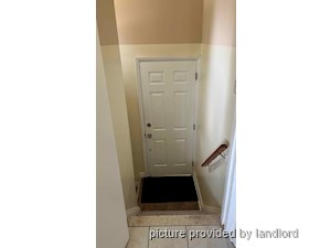 Image ViT 241534