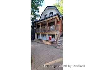 Image ViT 241561
