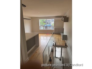 Image ViT 241563