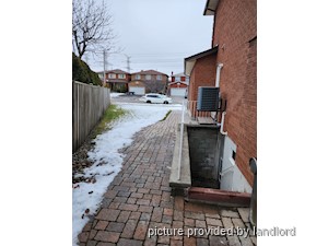 Image ViT 241567