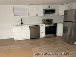 Image ViT 241568