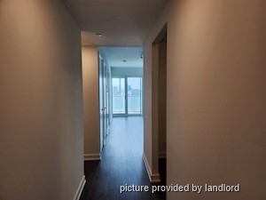 Image ViT 241583