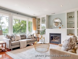 Image ViT 241585