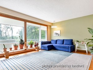 Image ViT 241586
