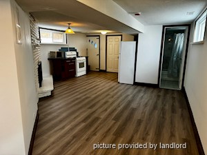 Image ViT 241589