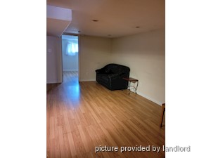Image ViT 241590