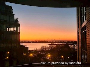Image ViT 241595