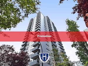 Image ViT 241603