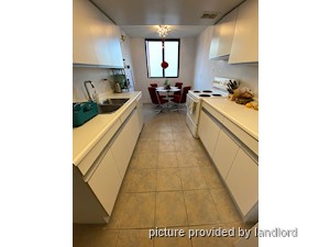 Image ViT 241610