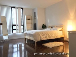 Image ViT 241610