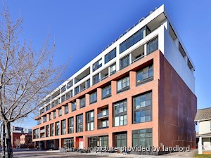 Image ViT 241611