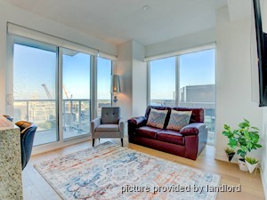 Image ViT 241614