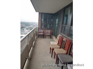 Image ViT 241622