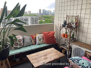 Image ViT 241623