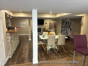 Image ViT 241650