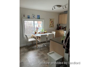 Image ViT 241653