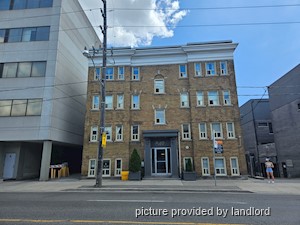 Image ViT 241658