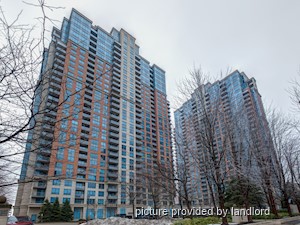Image ViT 241659