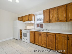 Image ViT 241660