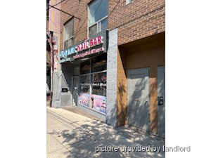 Image ViT 241662