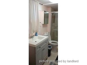 Image ViT 241665