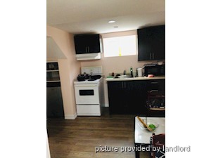 Image ViT 241665