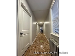 Image ViT 241667