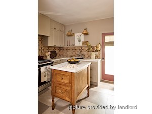 Image ViT 241673
