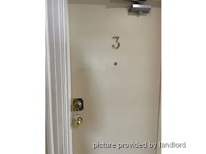 Image ViT 241674