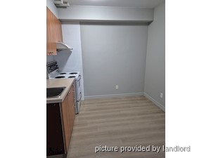 Image ViT 241679