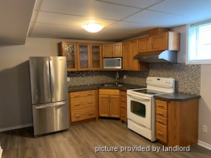 Image ViT 241686
