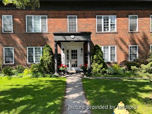 Image ViT 241689