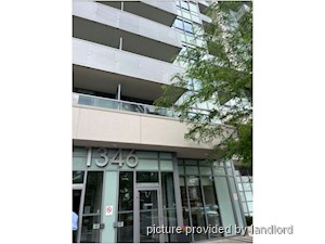 Image ViT 241692