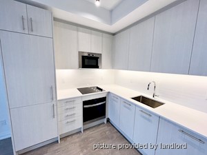 Image ViT 241699