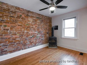 Image ViT 241703