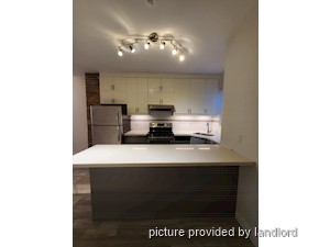 Image ViT 241709