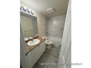 Image ViT 241716