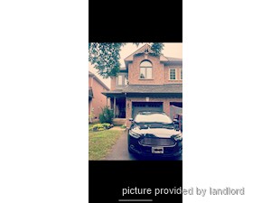 Image ViT 241723