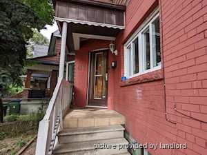 Image ViT 241733