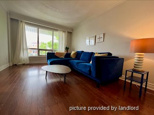 Image ViT 241762