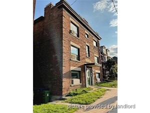 Image ViT 241766