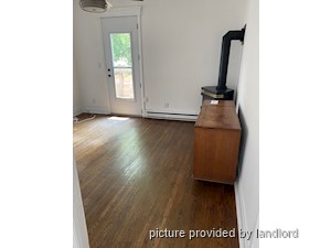 Image ViT 241769