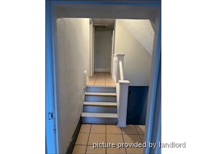 Image ViT 241777