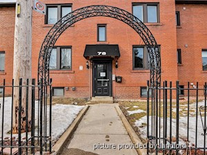 Image ViT 241782