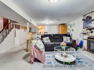 Image ViT 241785