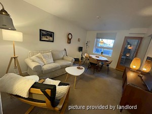 Image ViT 241786